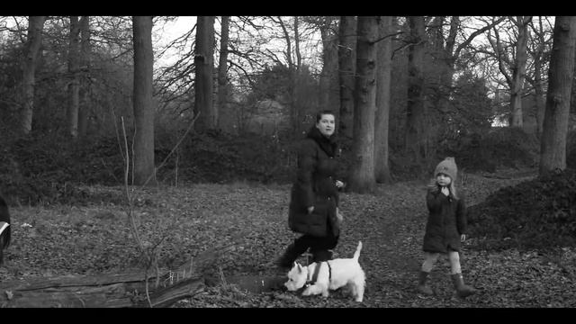 Monochrome Film