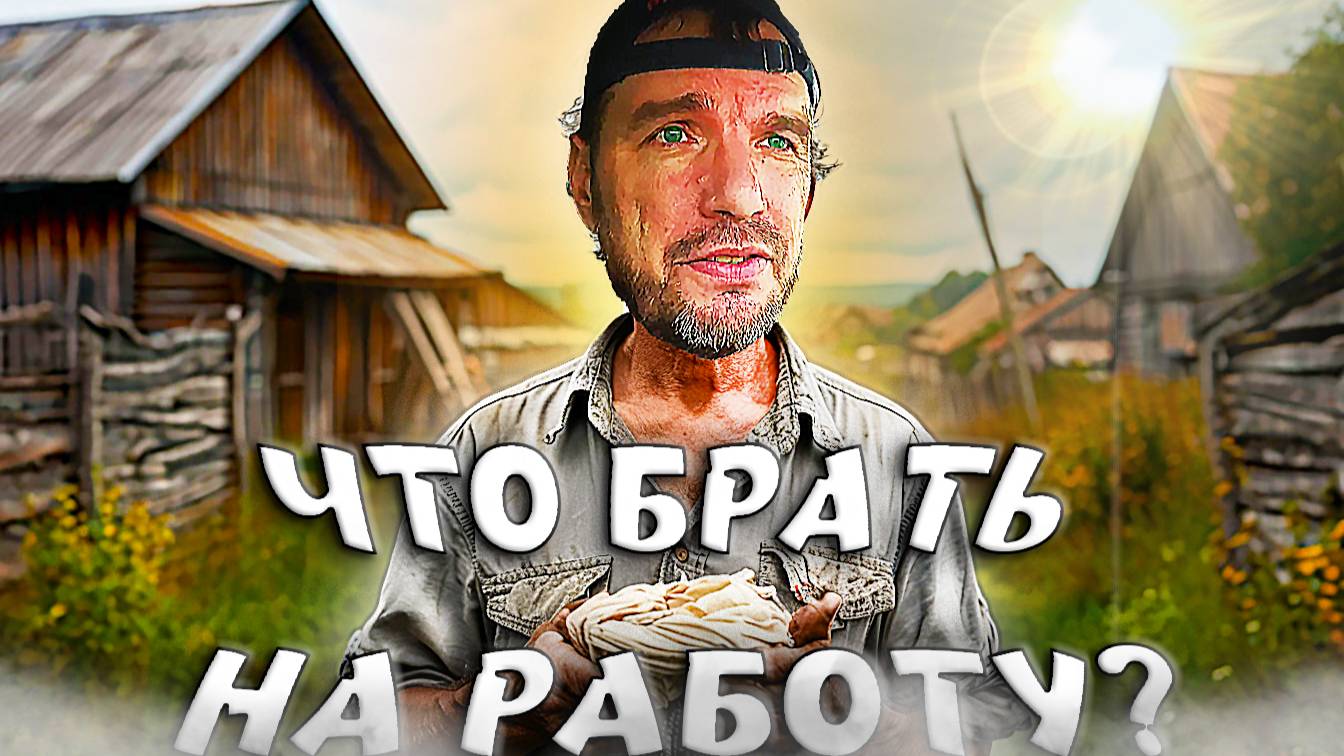 Пора на работу - что брать? Продажа козлят, и мои покупки.