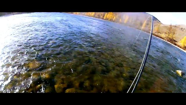 Taimen fly fishing September 2012