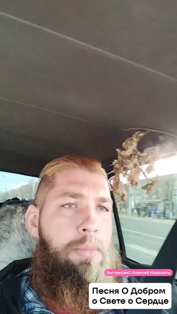 #свет #рассвет #шаги #добро #сердце #пение #экстрасенс