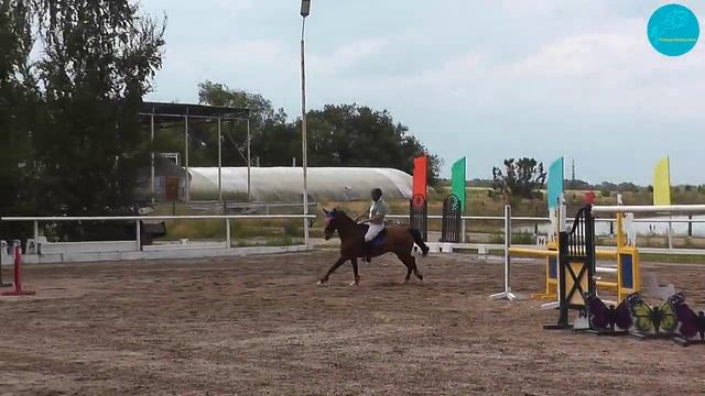 Соловьев Петр и Ангелия, молодые лошади 90-105 см, Чемпионат Алм. Области по конкуру, 07-07-2023