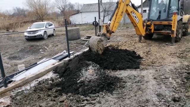Собачка испортила всю красоту.