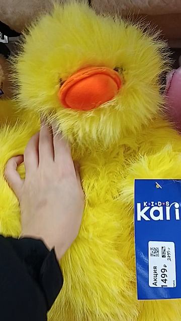 цыпа 🌝🐥🐤🐣