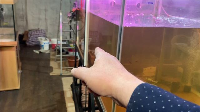 Пруд в гараже.Подключили песчаный фильтр.Ну и много интересного.