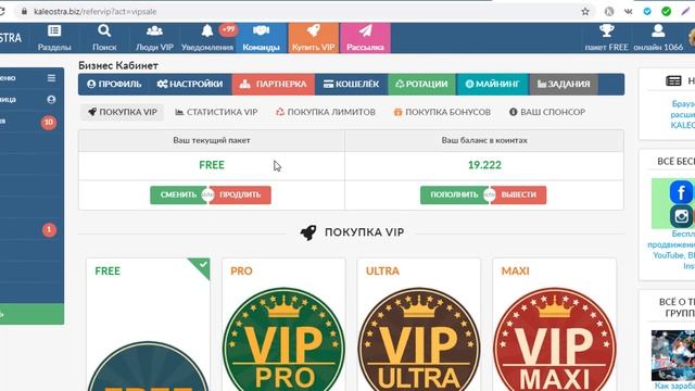 Бесплатные   и платные пакеты в социальной сети  Калиостра