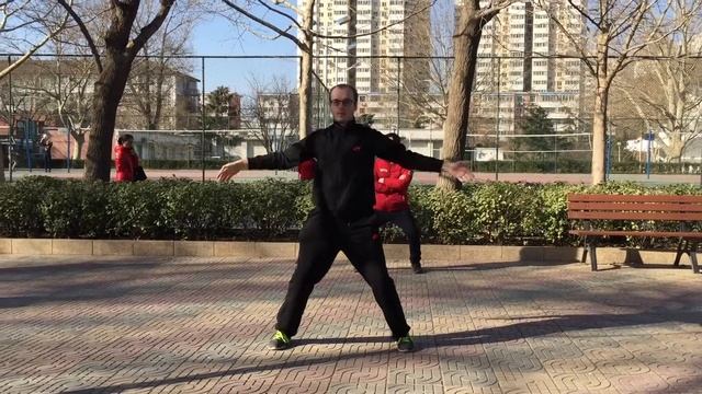 VEDA 2016 #10 - Bajiquan