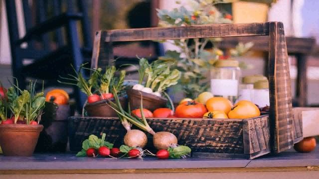 Easy Home Vegetable Garden Ideas
