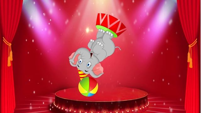 "ЦИРК" Ангелина