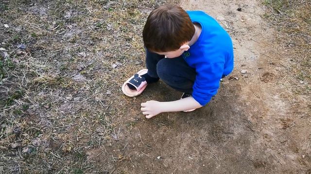 VID_20250416_143958.mp4