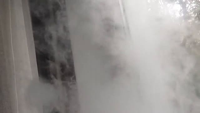 IMG 0348