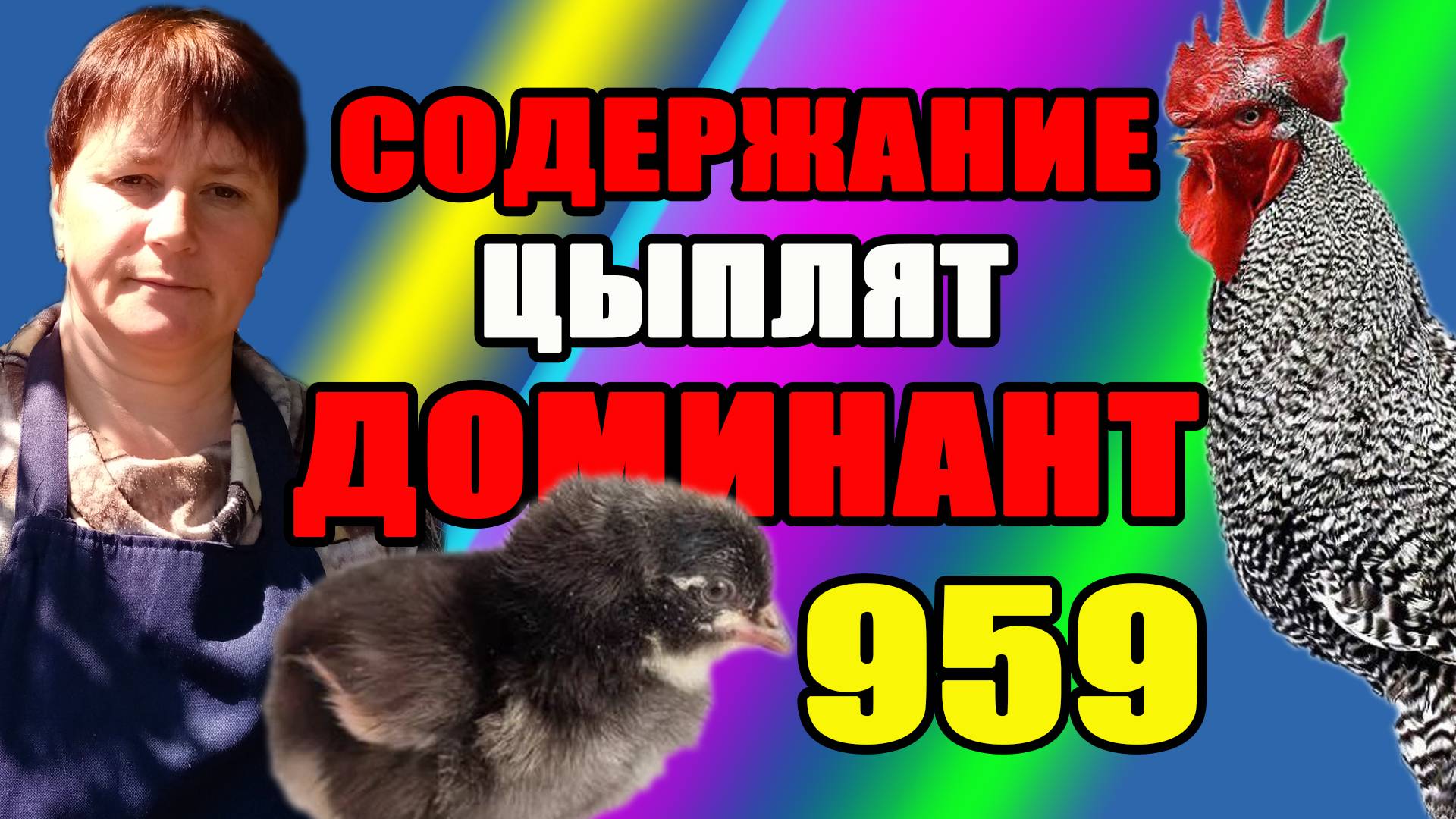 Цыплята ДОМИНАНТ 959. Переселение и содержание на выгуле.