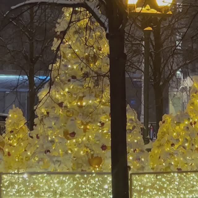 ПРЕДНОВОГОДНЯЯ МОСКВА. ЦВЕТНОЙ БУЛЬВАР