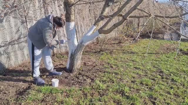 В деревне всегда есть чем заняться
