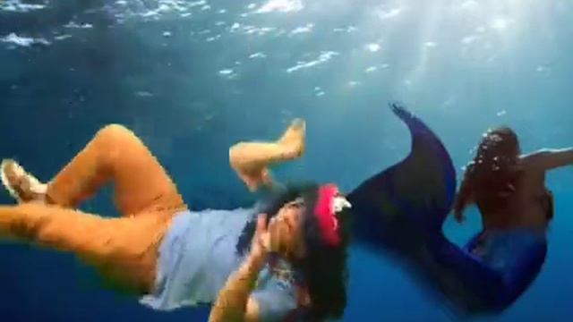 Swimming with Mermaids