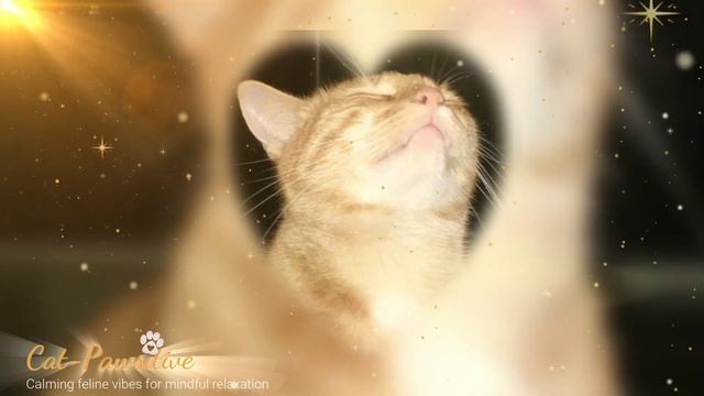 "Quick Calm: 10 minute Relaxation Journey"