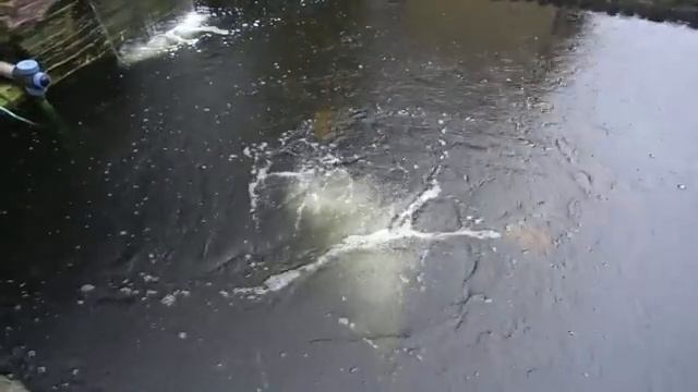 Советы для начинающих рыбоводов