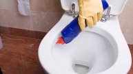 How to Clean a Toilet Bowl