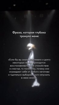 Фраза, которая меня тронула 💜