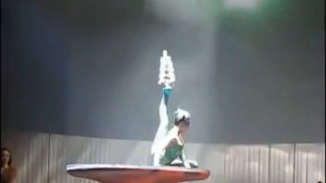Shanghai Acrobats