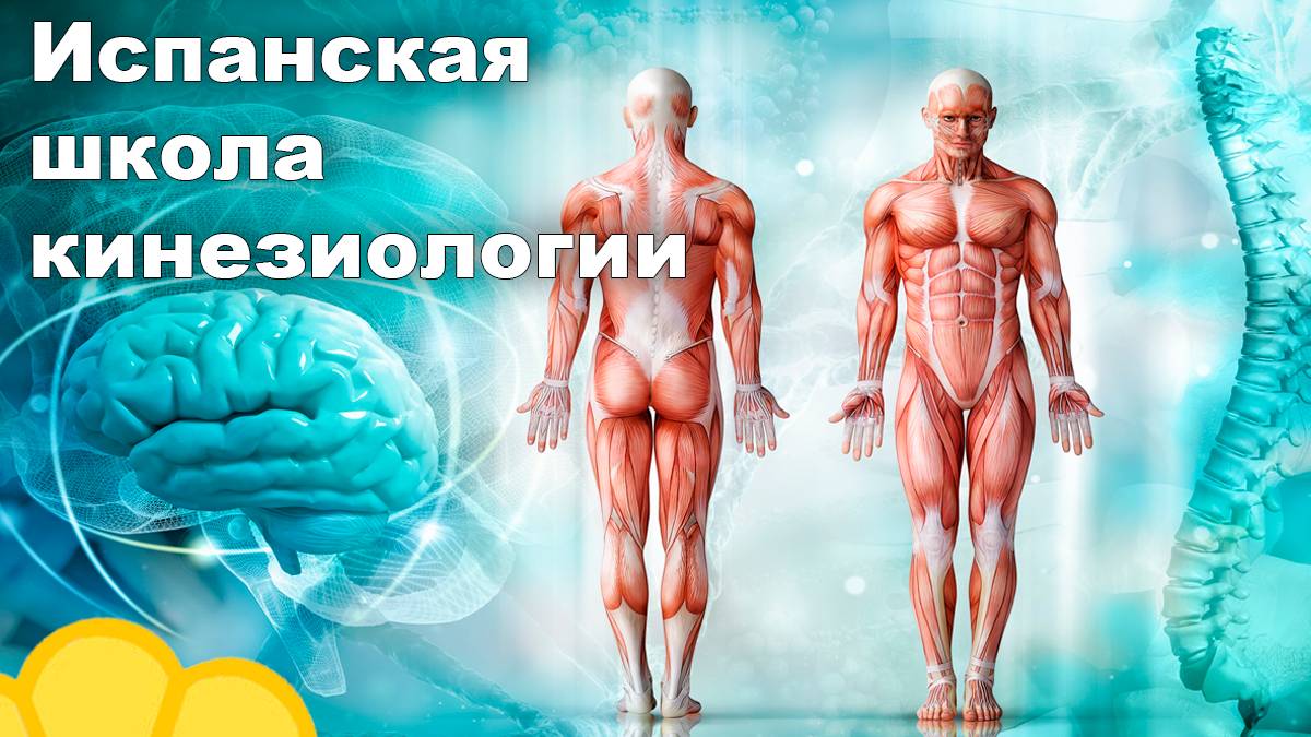 Отзыв. Испанская школа кинезиологии Корженков Юрий