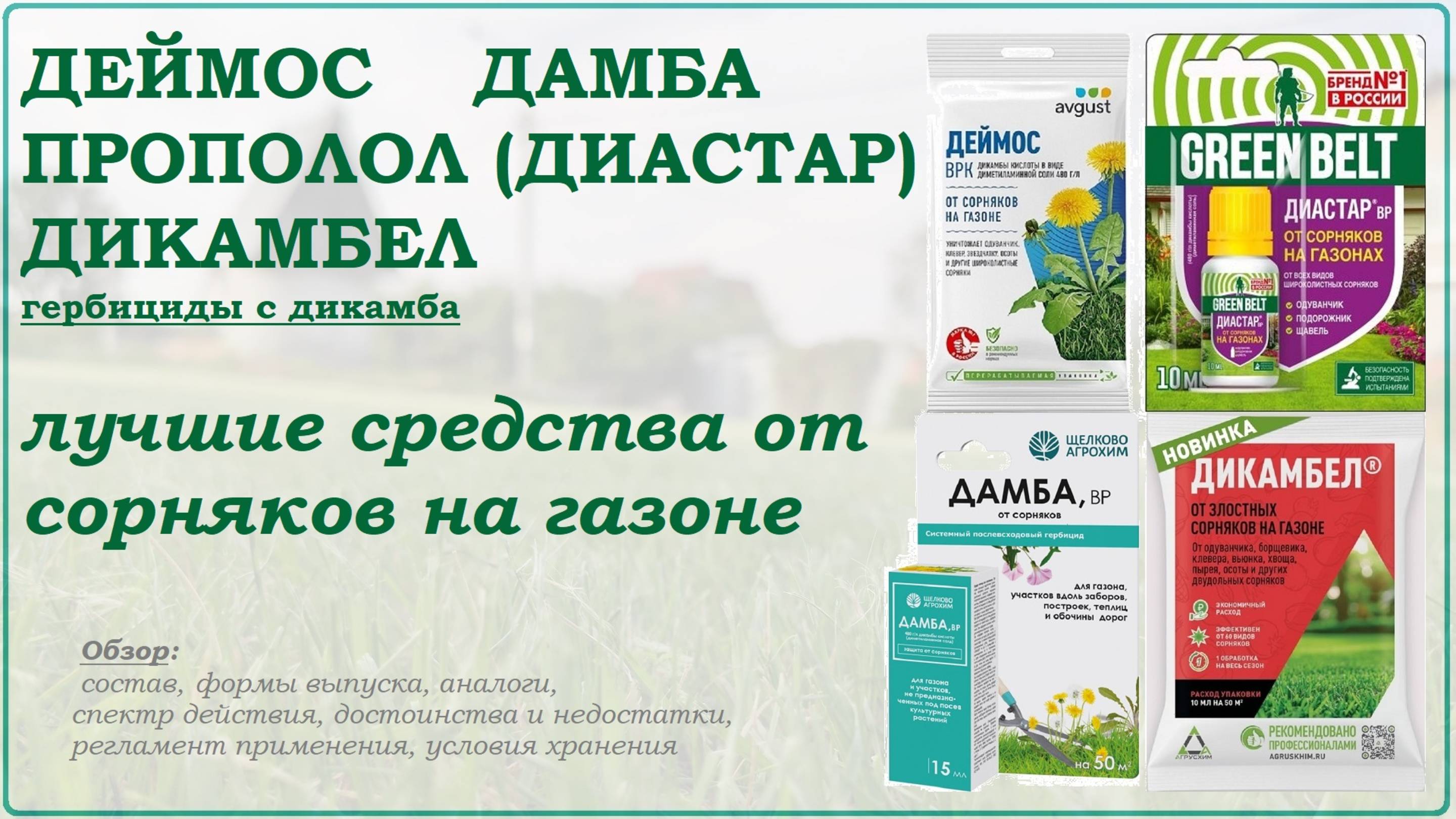 Деймос, Дамба, Диастар и Дикамбел - лучшие средства от сорняков на газоне. Обзор гербицидов дикамба