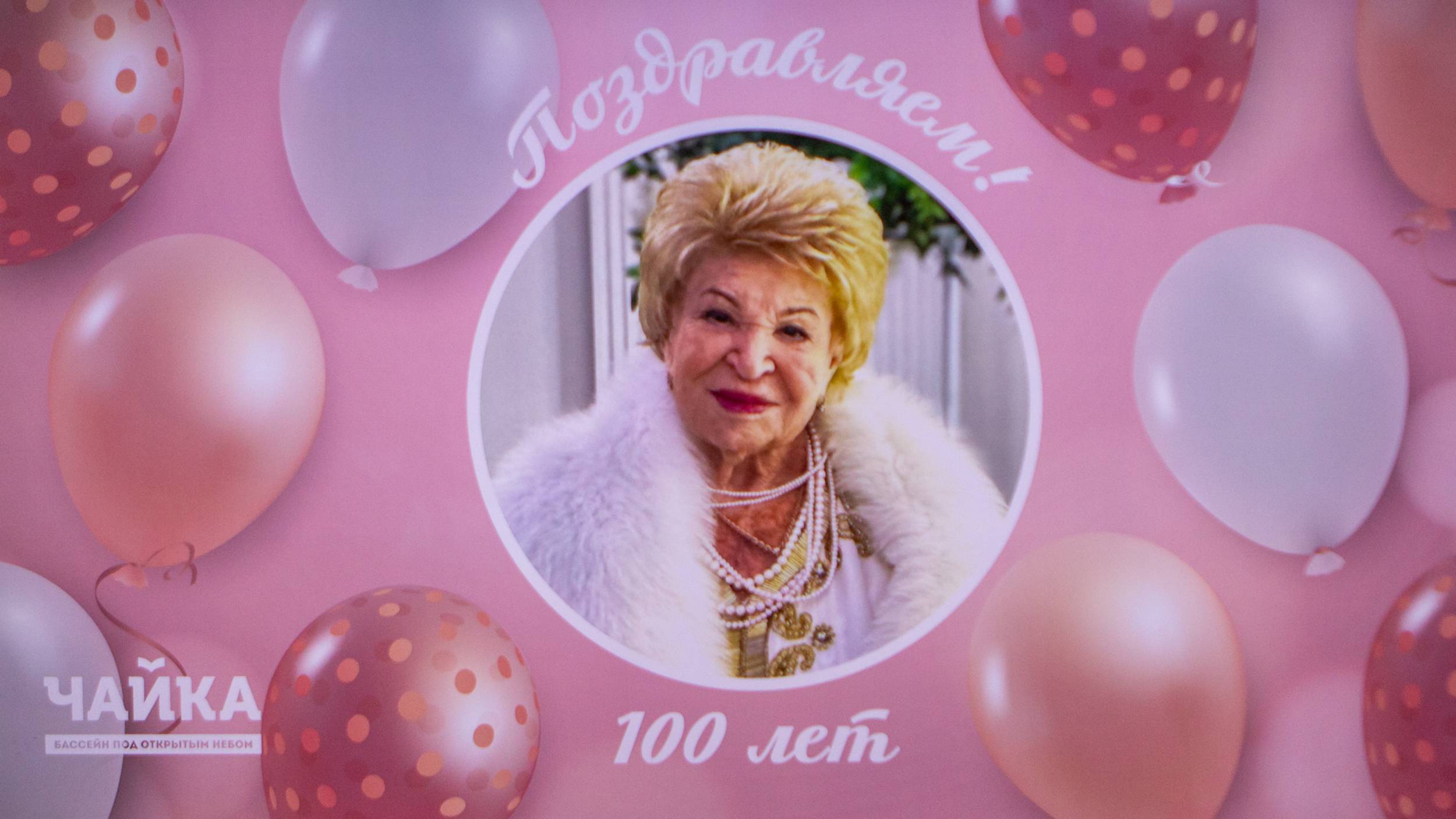 Чайка Мира