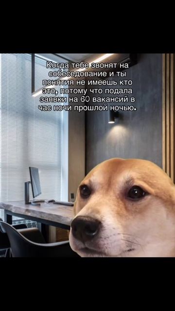Мы вообще-то не только про тусовки и мемы
