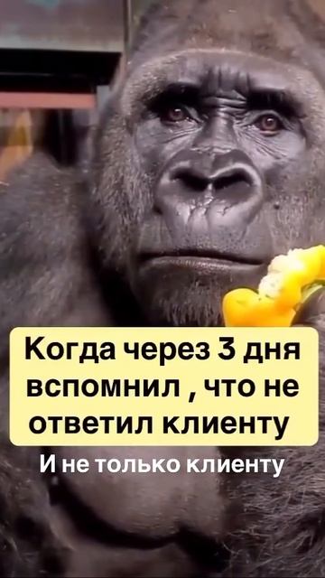 Бывает