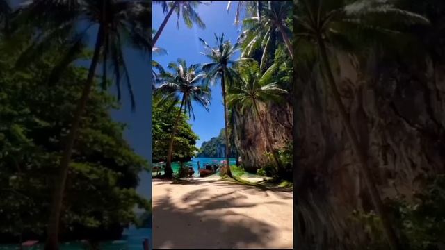 ✨природа , разные виды🌲✨