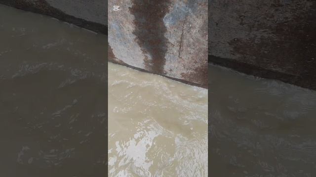 Ни МЧС, ни Водяные нам не помогли