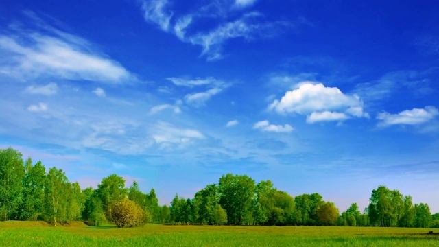 Malina właściwa (Rubus idaeus, Różowate) : Odkryj piękno i smak tych pysznych owoców!