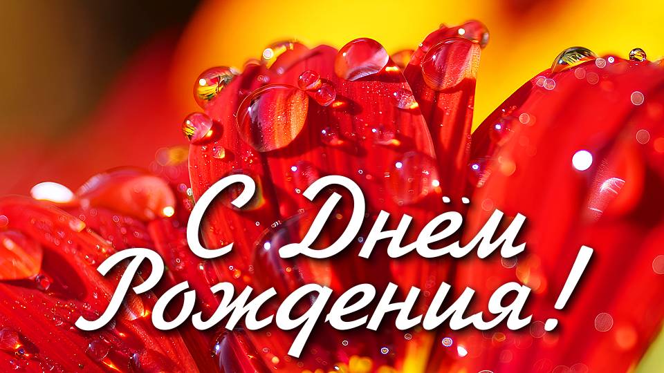 С ДНЁМ РОЖДЕНИЯ ! Шикарная песня! Самое красивое поздравление для женщины!