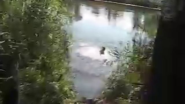 Учебное пособие по прыганью с тарзанки.AVI