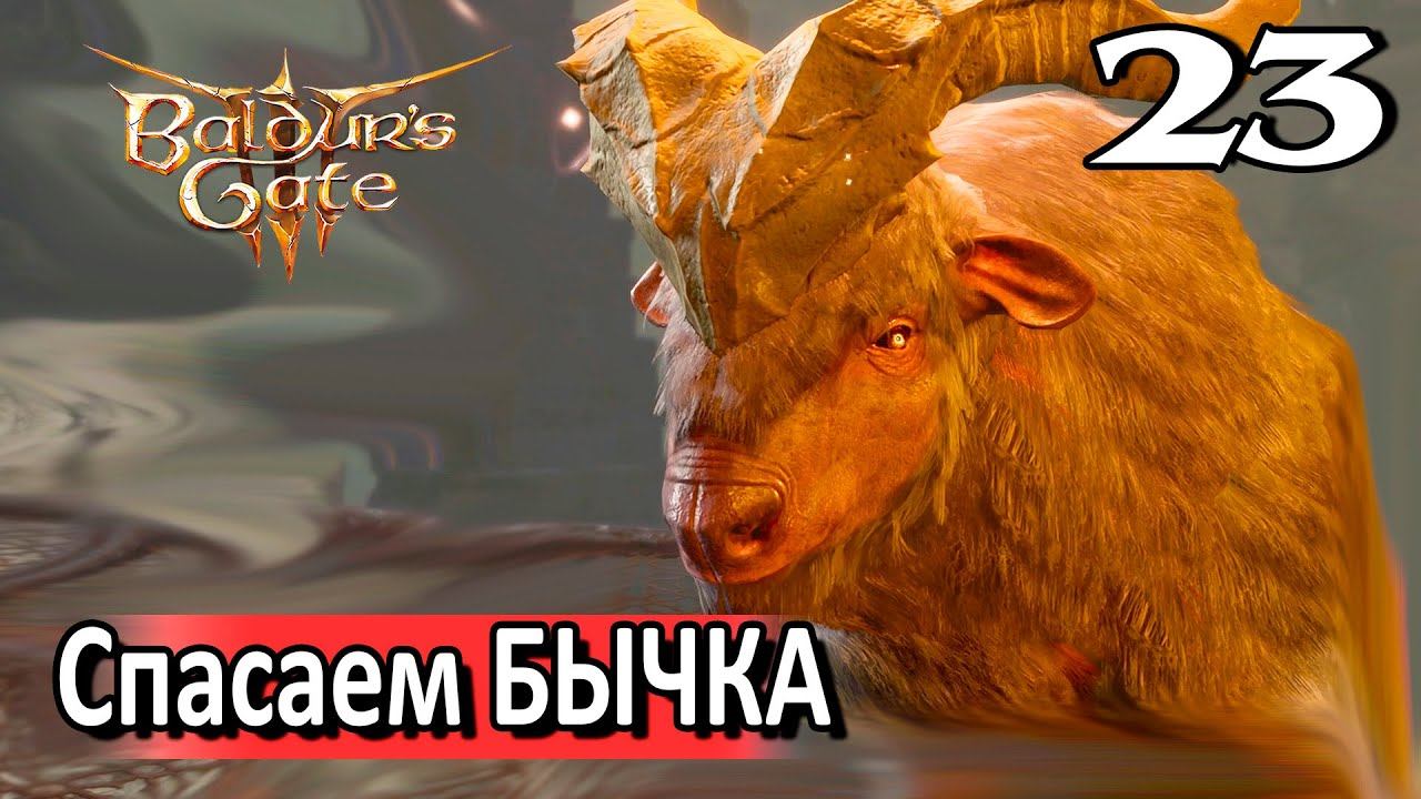 23. Спасаем быка #baldursgate3 #baldursgate3доблесть