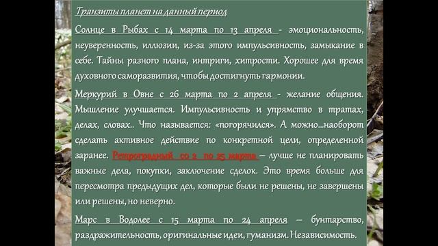 Гороскоп на 4 апреля 2024 года