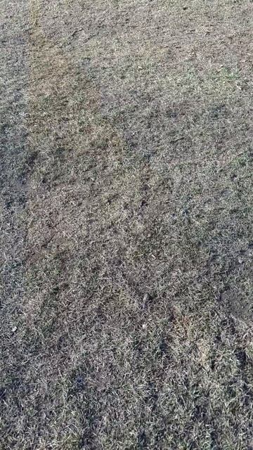 как ловить воду
