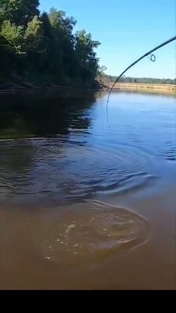 рыбалка