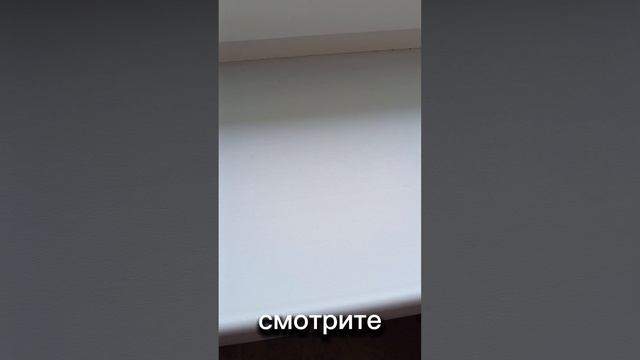Мои помощники в уборке