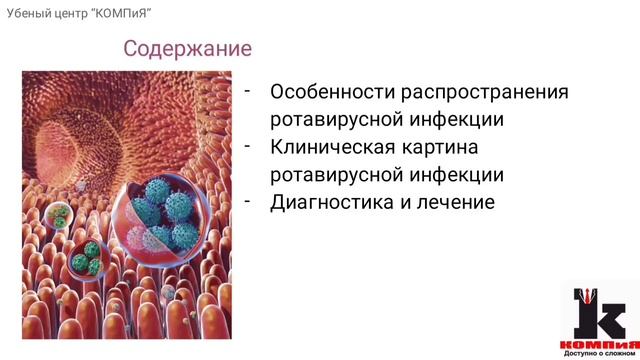 Актуальные аспекты диагностики и лечения ротавирусной инфекции, в объеме 36 часов