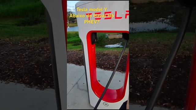 Tesla model Y abaixo do Haval H6?