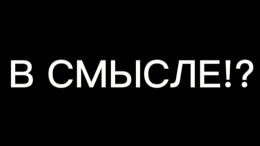 В СМЫСЛЕ!?