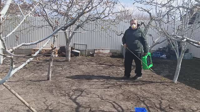 102. Важная обработка сада. Виноград. Рассада.