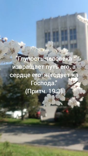 путь мы выбираем себе сами...