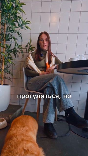 Сколько выгуливать собаку #кинологмосква #корги #дрессировка собак #short
