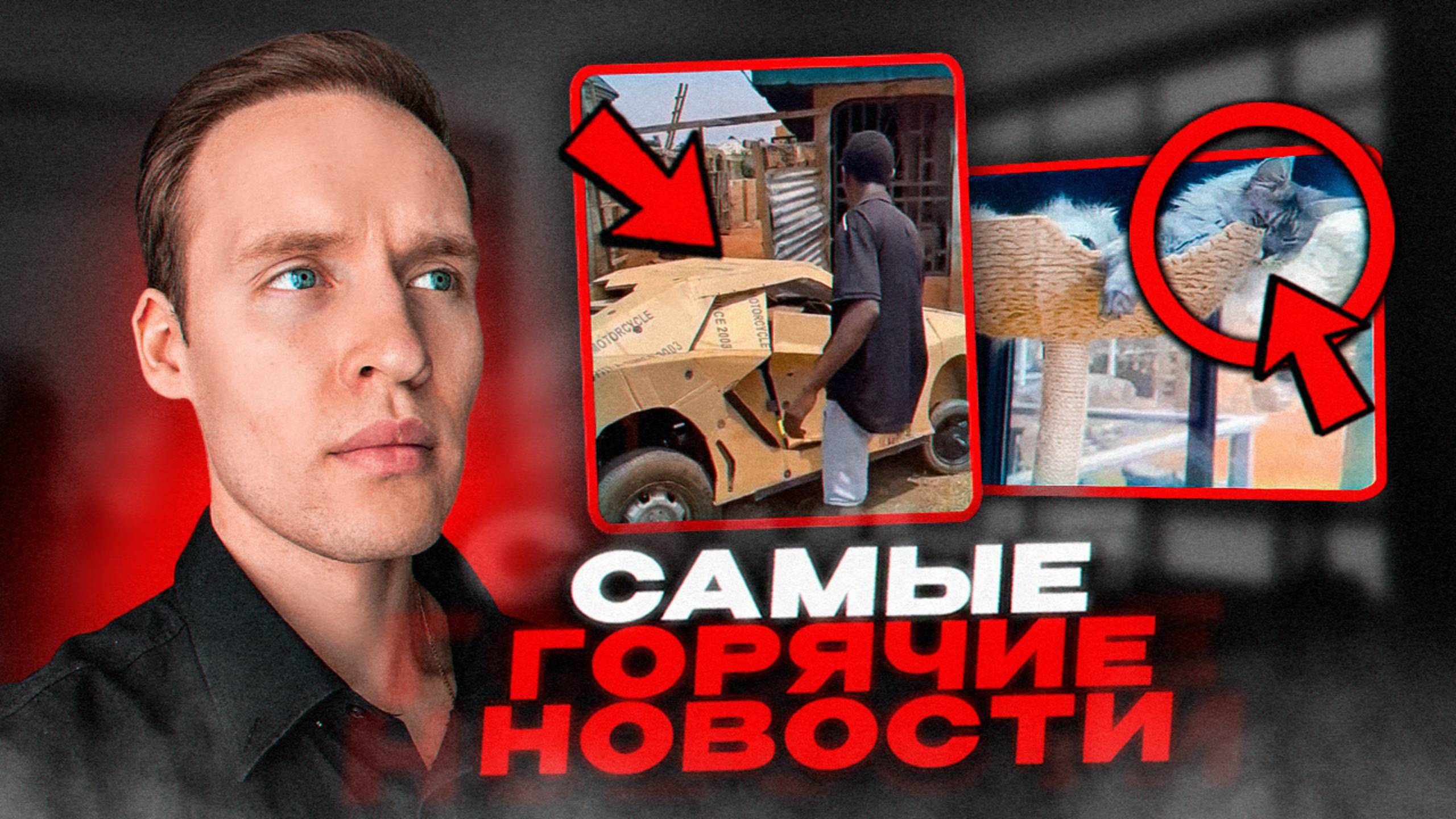 Сделал ЛАМБОРГИНИ ИЗ КАРТОНА...Кот с самым ДЛИННЫМ ХВОСТОМ в мире...ТОП 10 НОВОСТЕЙ