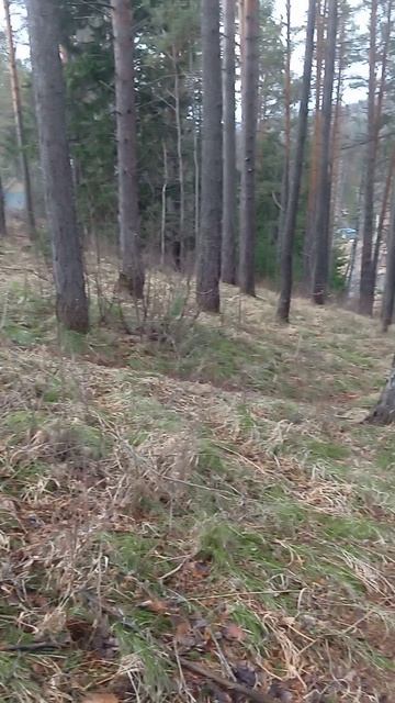 VID_20250412_091126.mp4