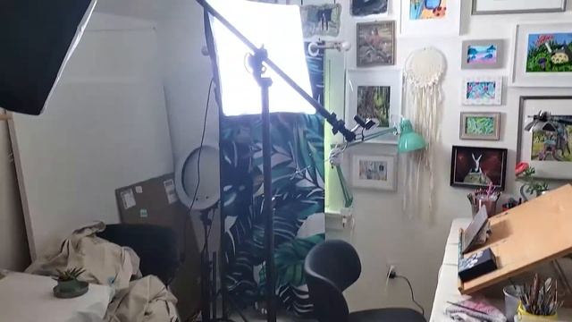 How I Film my Art Videos - Artist Video Setup - Tech Equipment - Camera Setup for Painting