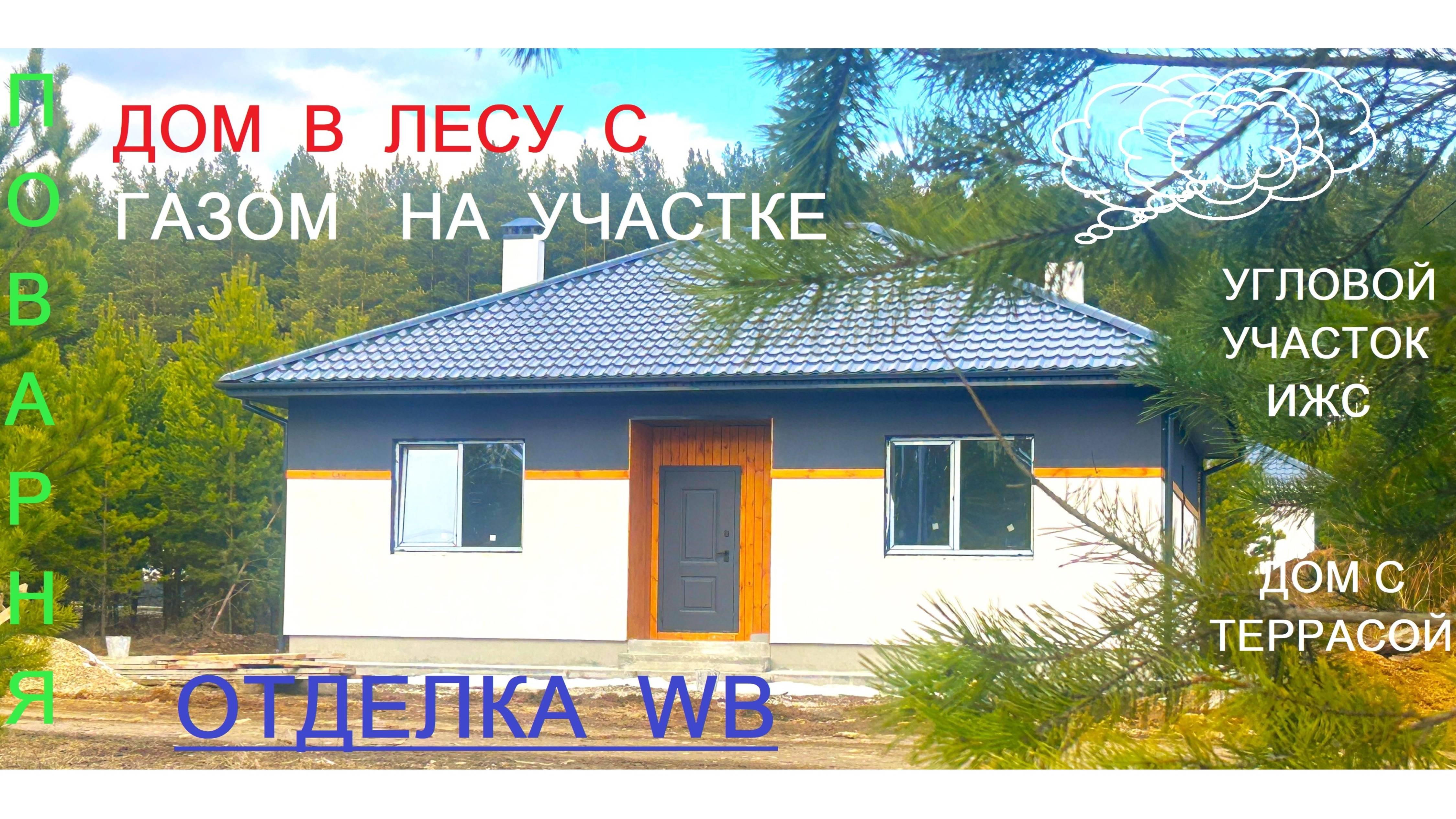Новый дом коттедж с видом на лес газ отделка WB Поварня Косулино +7-922-179-4-179 Авито циан