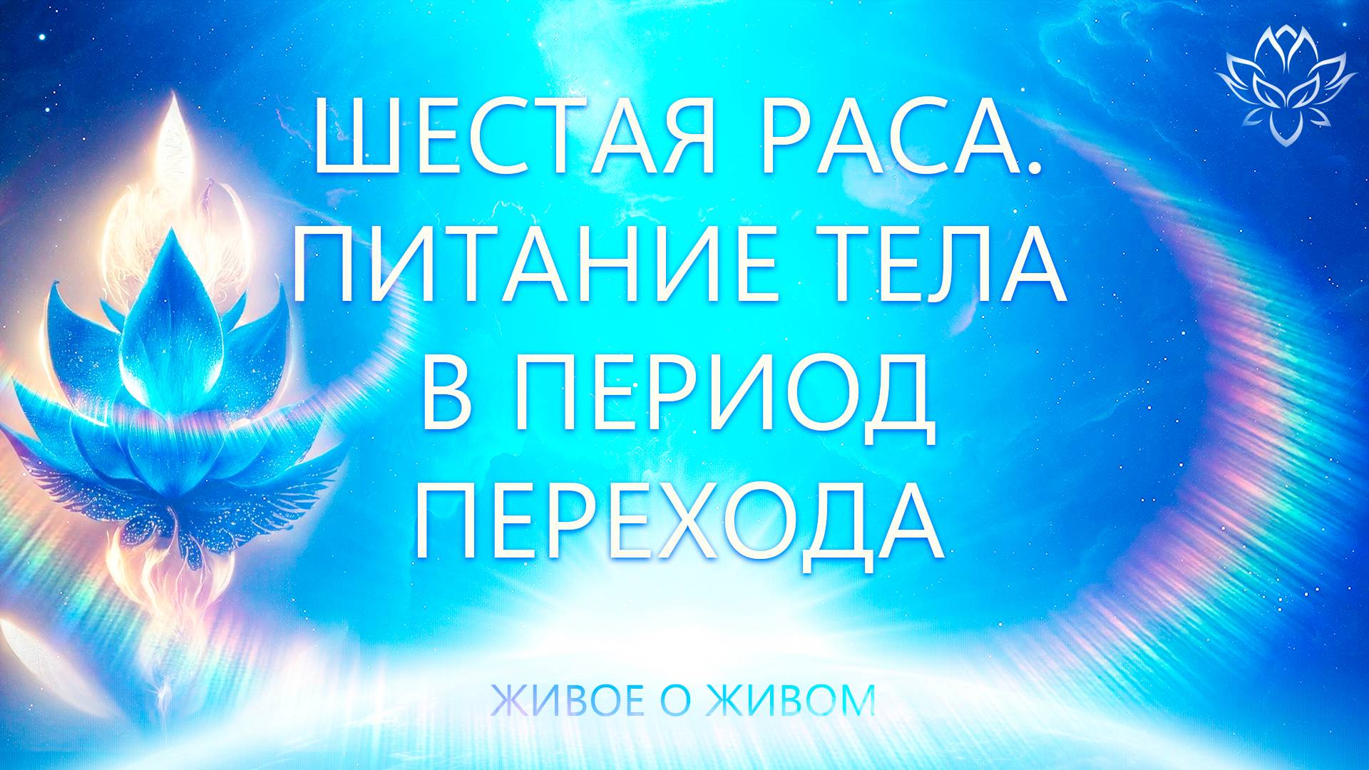 Шестая раса. Питание в период Перехода