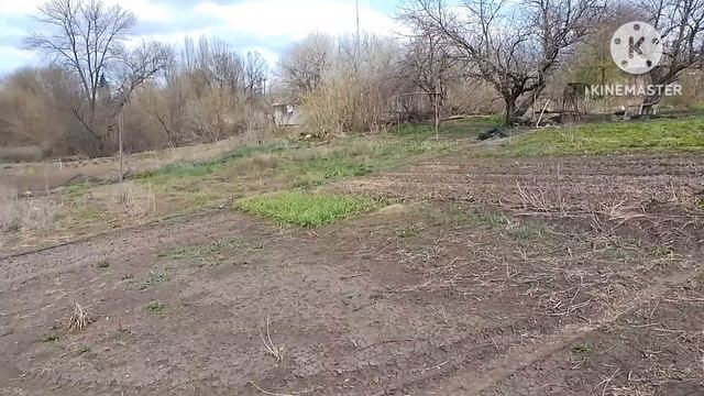 Собираю купленную теплицу из профиля и поликарбоната. Обзор поросят, цыплят, огород.